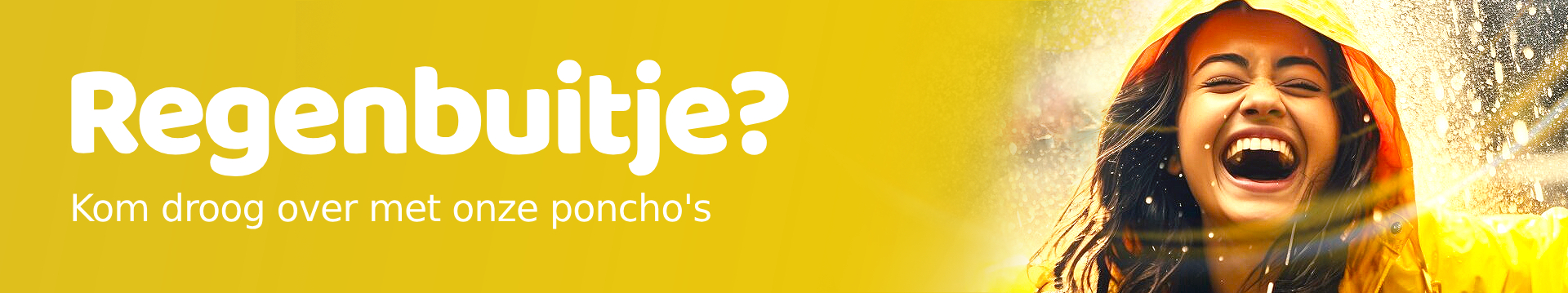 Poncho banner desktop