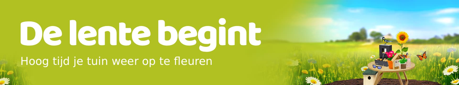 Lente banner